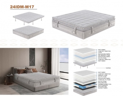 24IDM-M17
