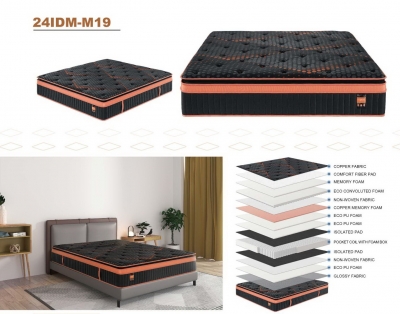 24IDM-M19